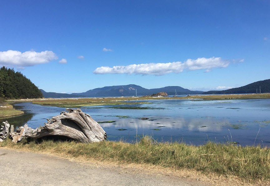 Spencer Spit State Park, Washington, USA